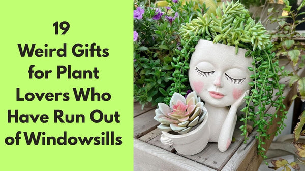 19 Weird Gifts for Plant Lovers Who Have Run Out of Windowsills