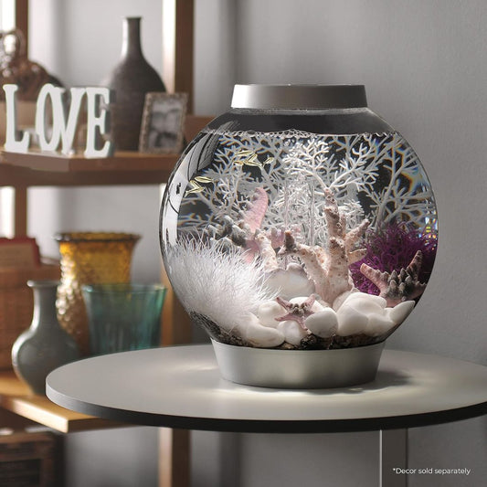 Decorative fishbowl with underwater scene on a table