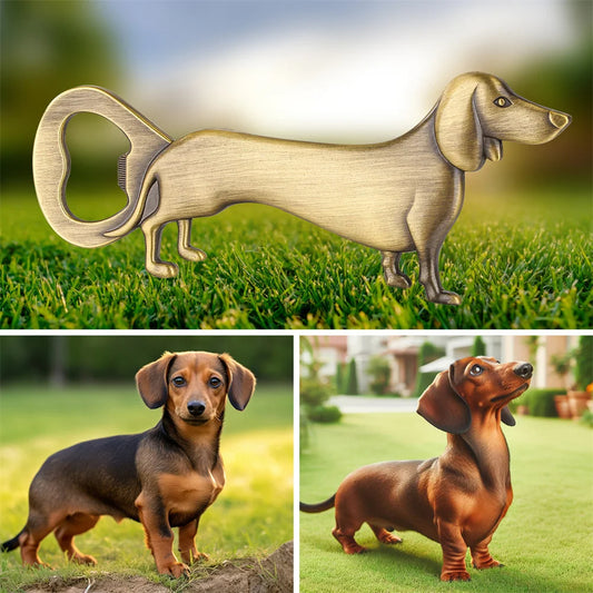 A bronze dachshund-shaped bottle opener on grass, paired with two images of real dachshund dogs standing on grass in outdoor settings.