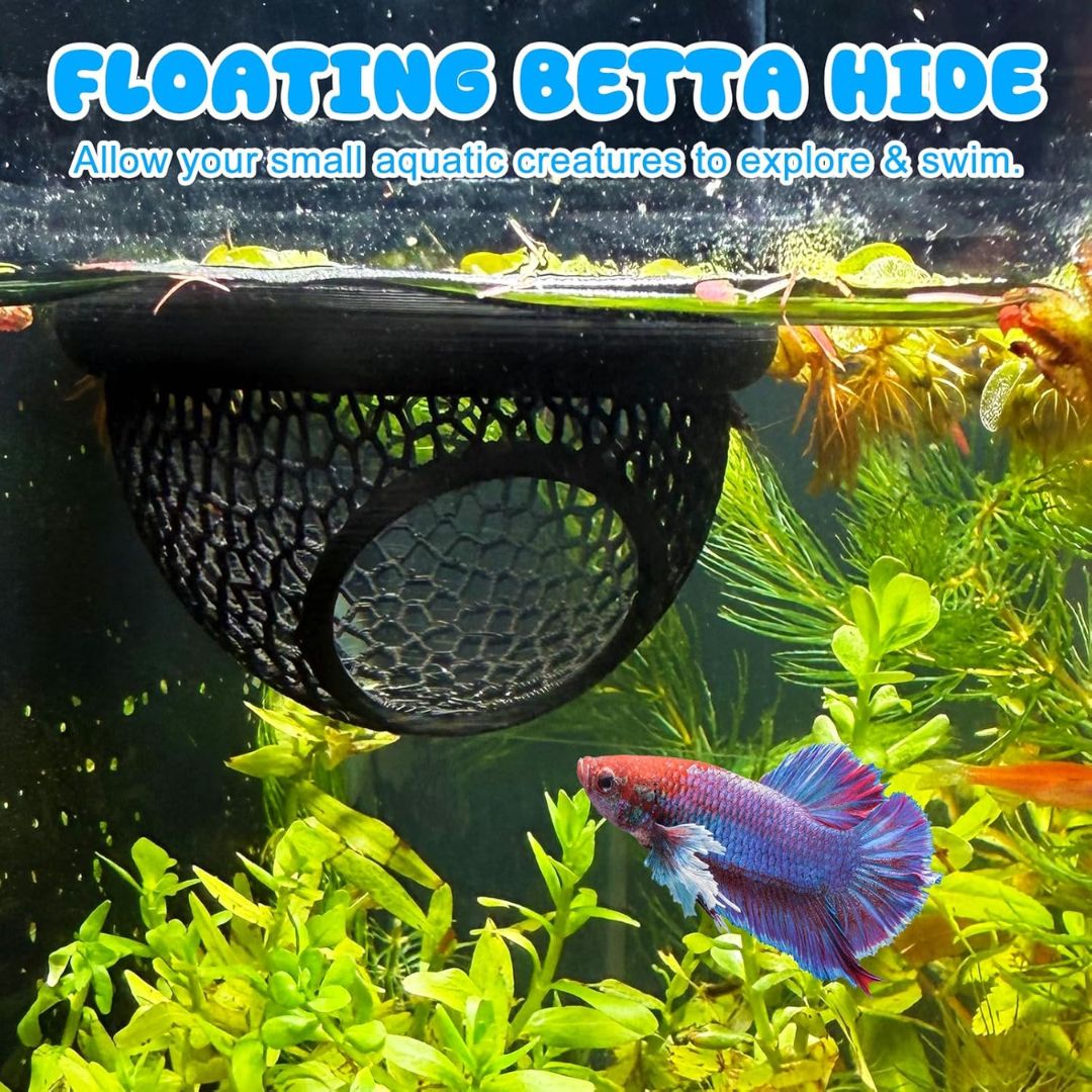 Floating betta hiding hammock in an aquarium with fish and plants