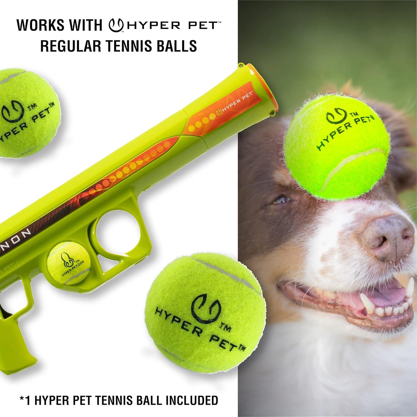 Fur-tastic Fetching Fun: Take fetch to a new level with this tennis ball launcher for dogs.