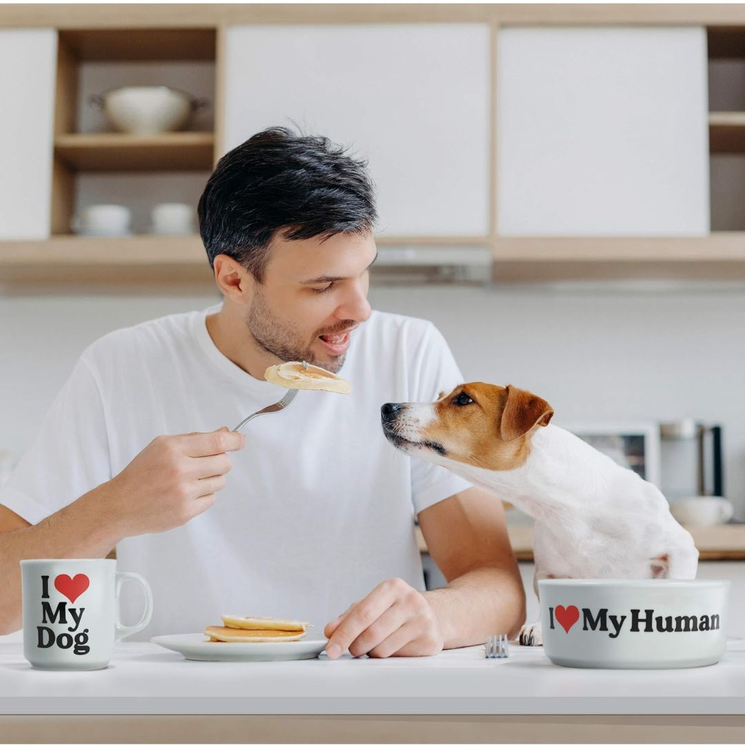 Man feeding a dog from a plate in a kitchen with 'I ❤️ My Dog' and 'I ❤️ My Human' mugs.