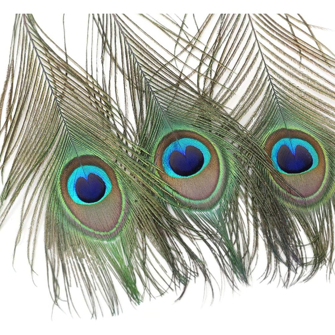 Three peacock feather decor pieces with vibrant blue, green, and brown eye spots on a plain white background.