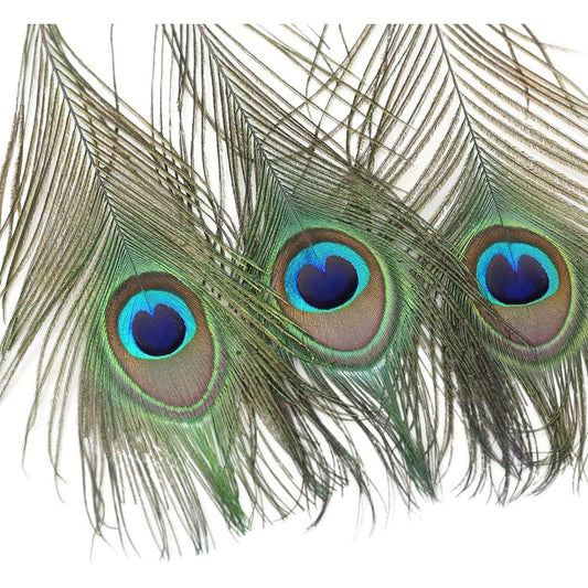 Three peacock feather decor pieces with vibrant blue, green, and brown eye spots on a plain white background.
