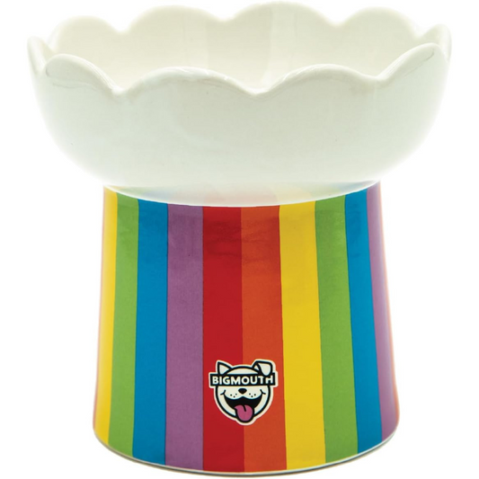 Elevated cat bowl with a scalloped white top and rainbow-striped base featuring the BigMouth logo.