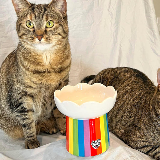 Two tabby cats sit beside a rainbow-striped elevated cat bowl with a scalloped white top and BigMouth logo.
