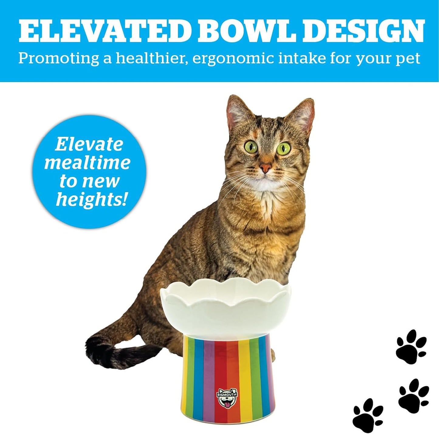 Tabby cat sits behind a rainbow-striped elevated bowl with scalloped edges; text promotes ergonomic pet feeding.