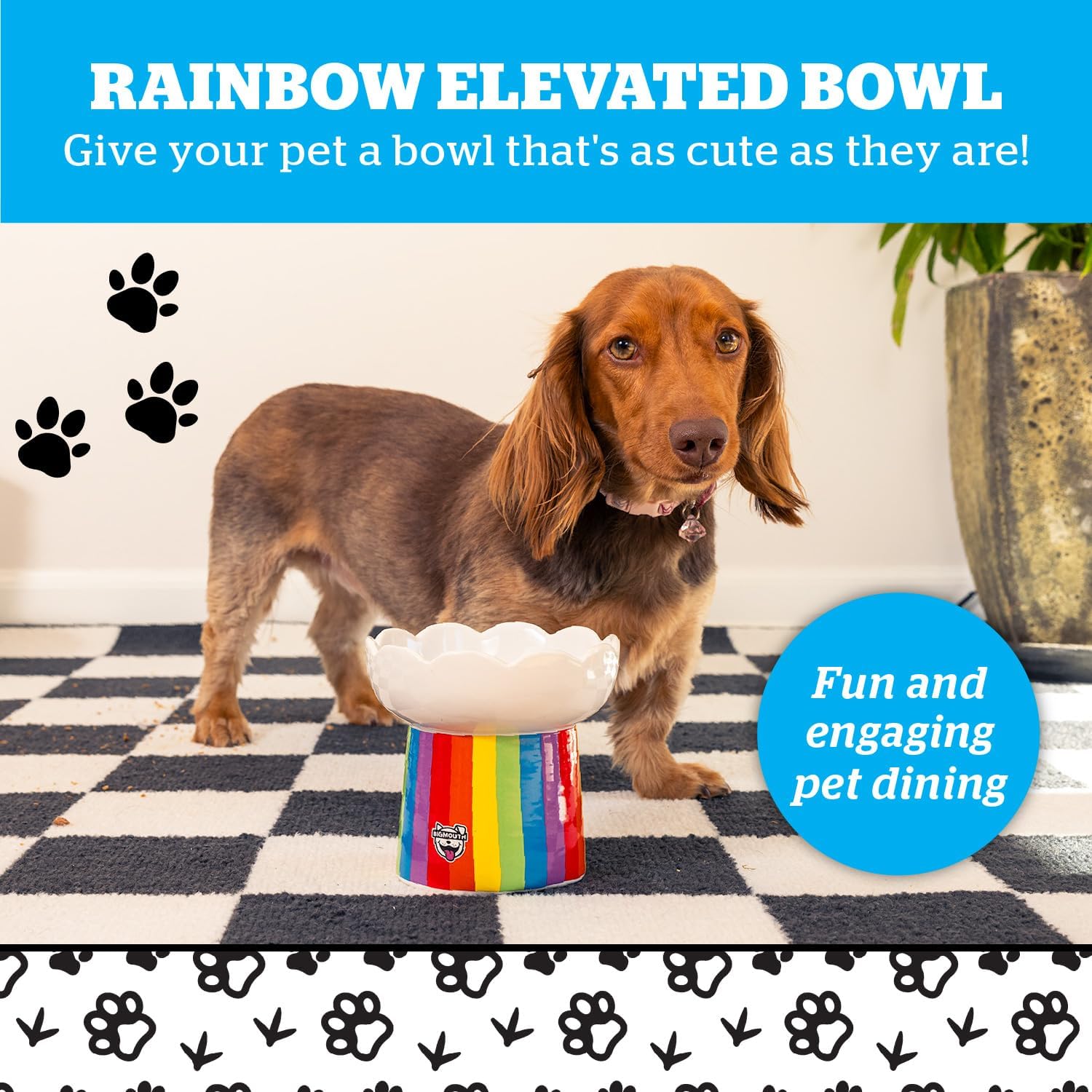 A dachshund stands beside a ceramic rainbow-striped elevated pet bowl with a scalloped top on a checkered rug. Text above reads "Rainbow Elevated Bowl – Give your pet a bowl that’s as cute as they are!" and a circular badge states "Fun and engaging pet dining." Paw print graphics decorate the image.