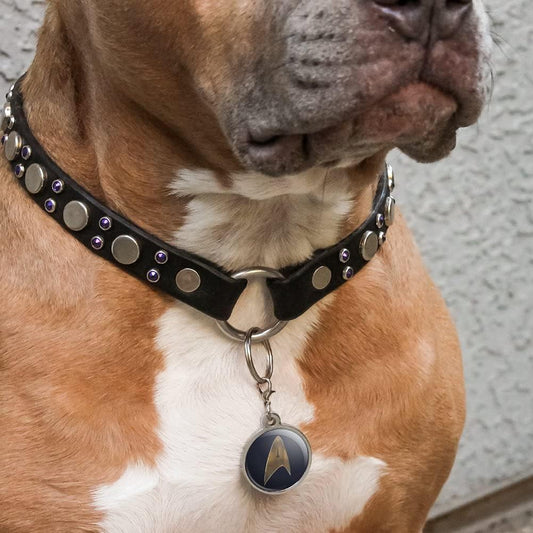 A dog is wearing a Star Trek Discovery Delta Shield dog tag.