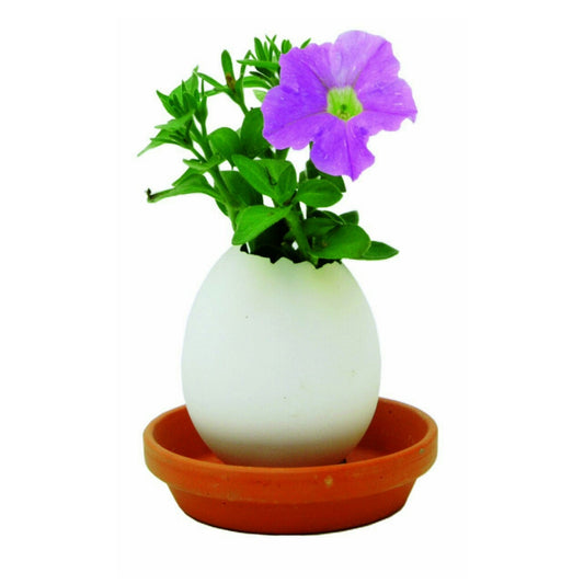 Eggling Crack & Grow - OddGifts.com