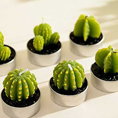 Cactus Candles - OddGifts.com