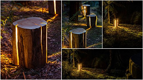 Tree Trunk Light - OddGifts.com