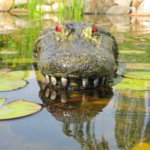 Floating Gator Decoy - OddGifts.com