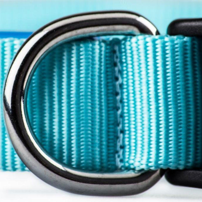 LED Flashing Dog Collar - OddGifts.com