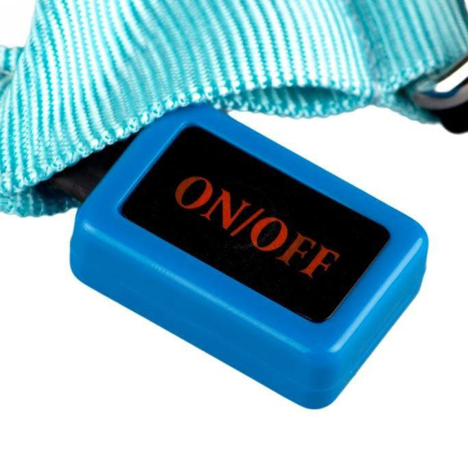 LED Flashing Dog Collar - OddGifts.com