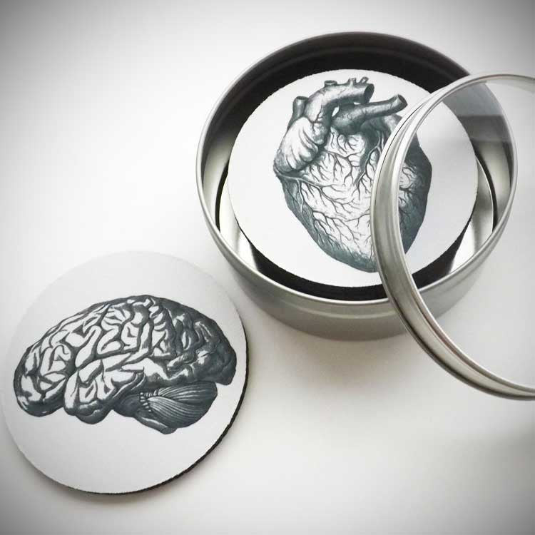 Anatomy Coasters - OddGifts.com