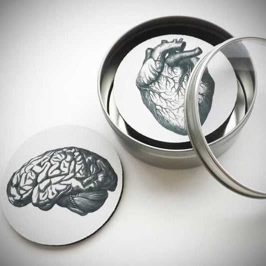 Anatomy Coasters - OddGifts.com