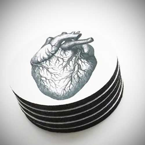 Anatomy Coasters - OddGifts.com