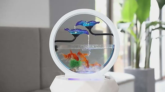 You won't believe what you're seeing right now!