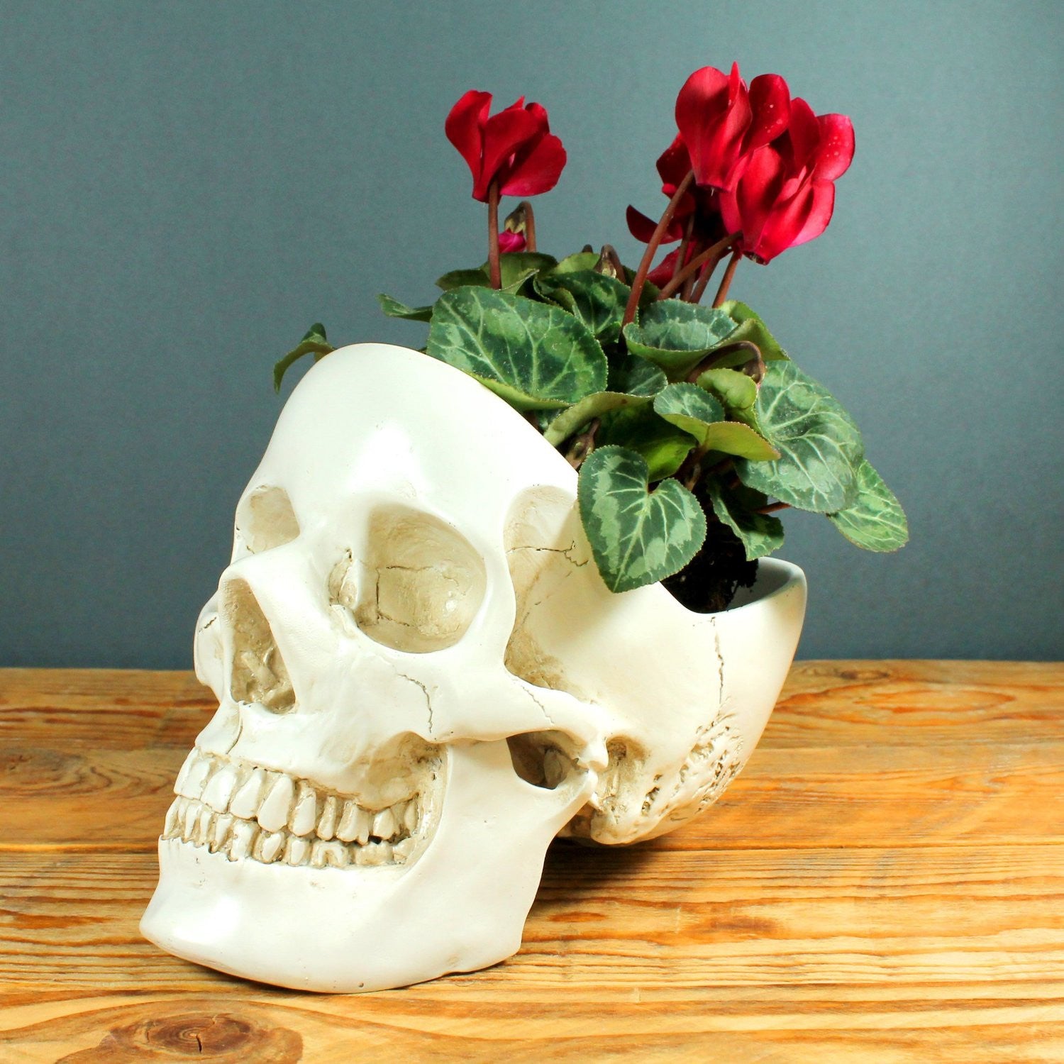 Skull Desk Organizer - OddGifts.com