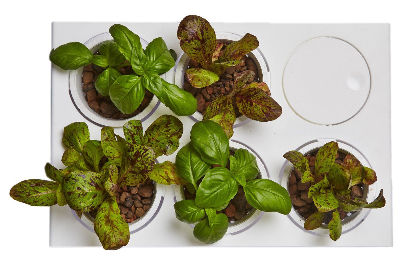 Fish Tank And Planter - OddGifts.com