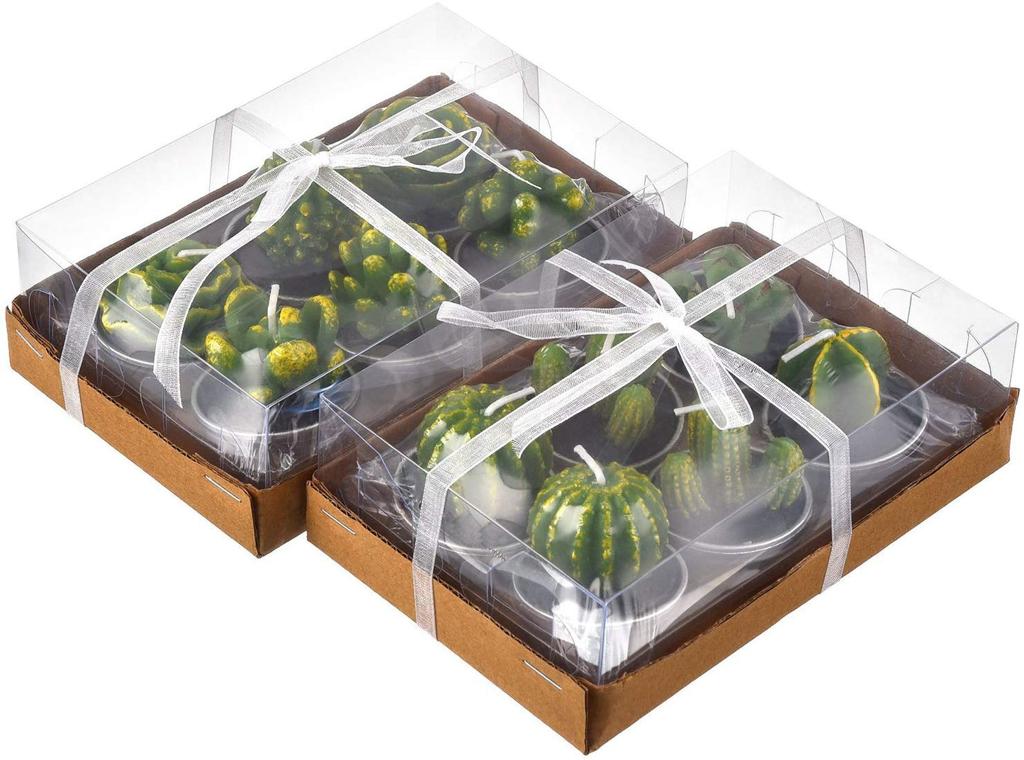 Cactus and Succulent Tealight Candles - oddgifts.com