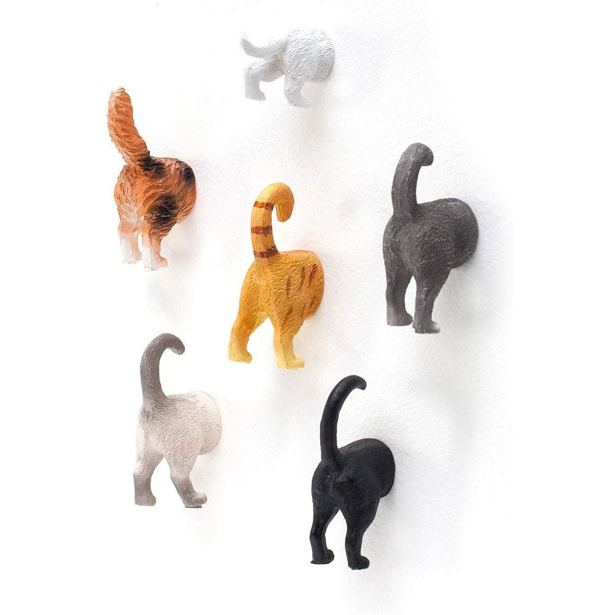 Cat Butt Magnets - oddgifts.com