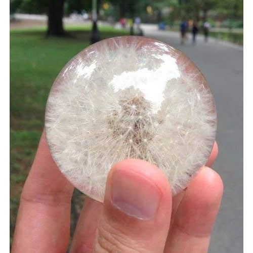 Dandelion Paperweight