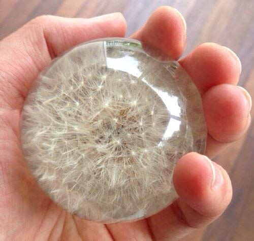 Dandelion Paperweight