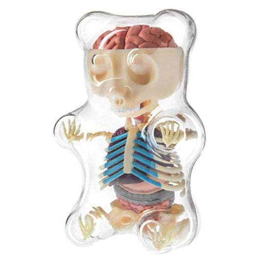 Gummy Bear Anatomy Puzzle - OddGifts.com