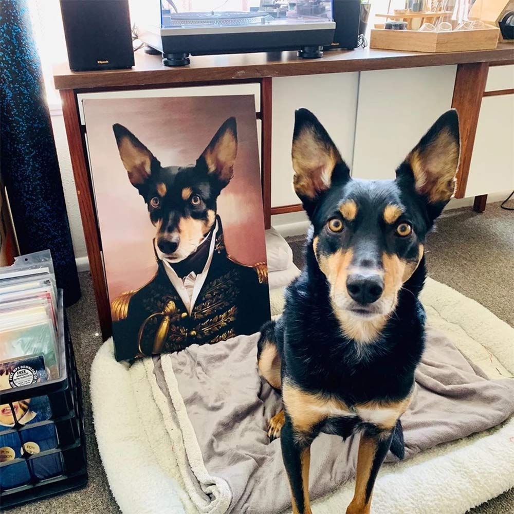 Portraits For Pets - oddgifts.com