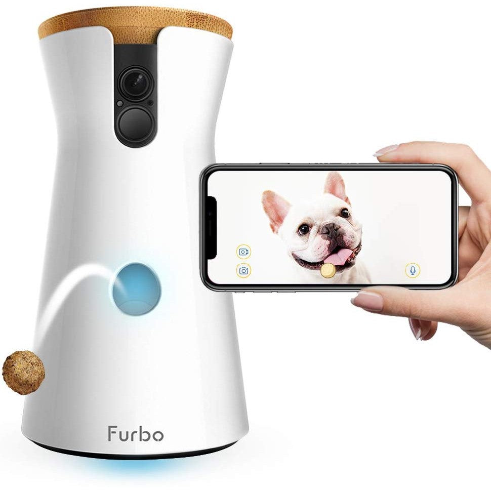 Treat Tossing Pet Camera - oddgifts.com