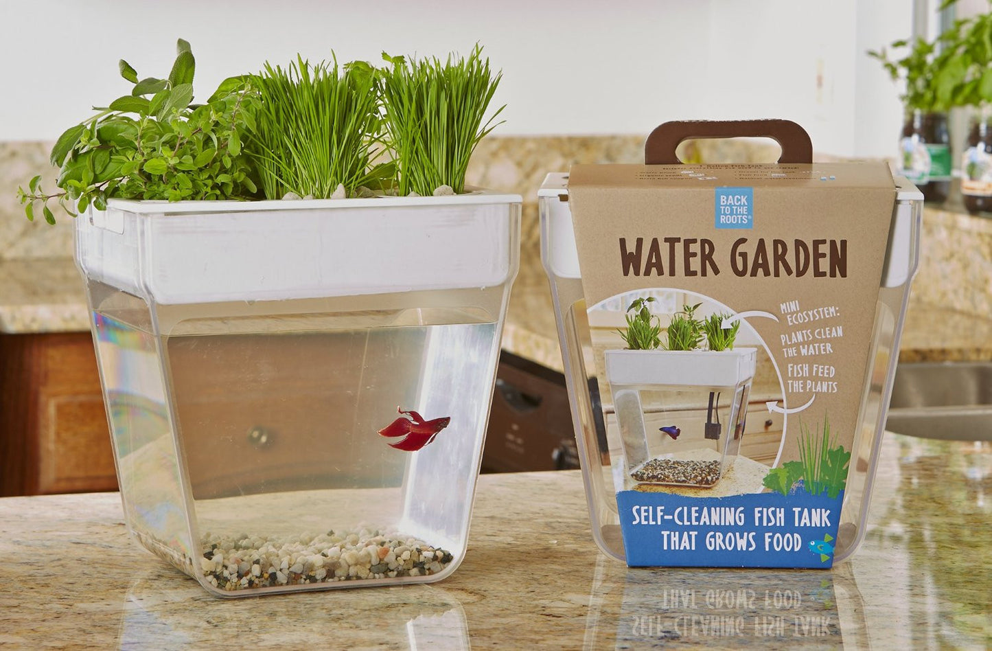 Water Garden - OddGifts.com