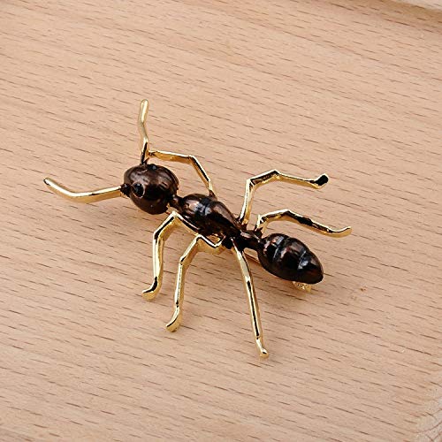 Gold ant brooch on wooden table