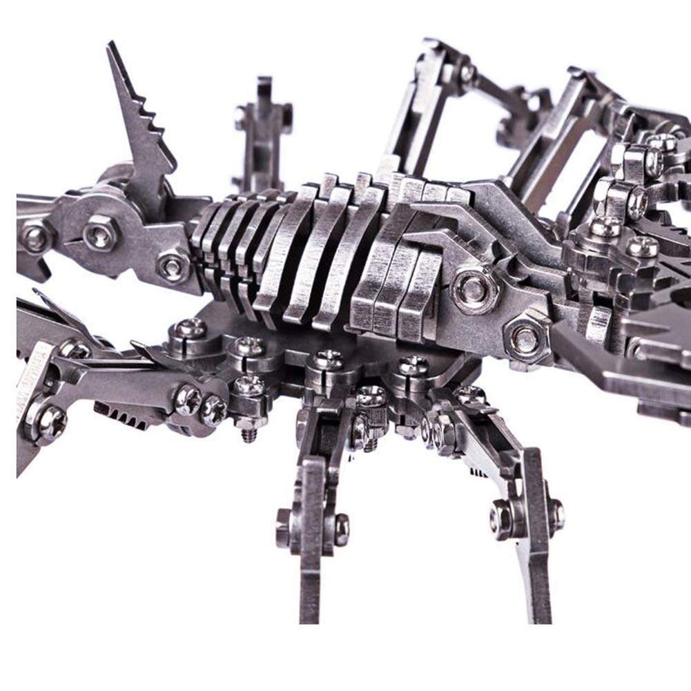 Close up view of the scorpion body built from the metal scorpion building kit