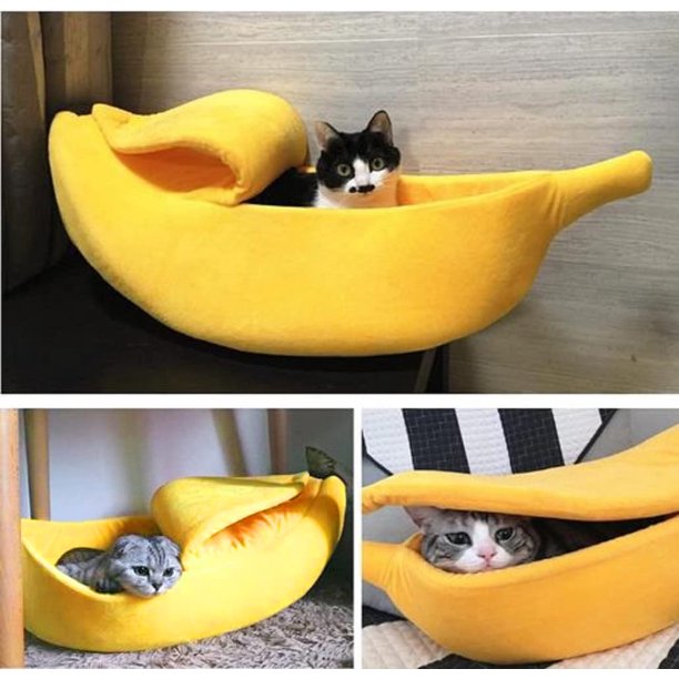 Three cats in 3 seperate yellow banana shaped cat beds