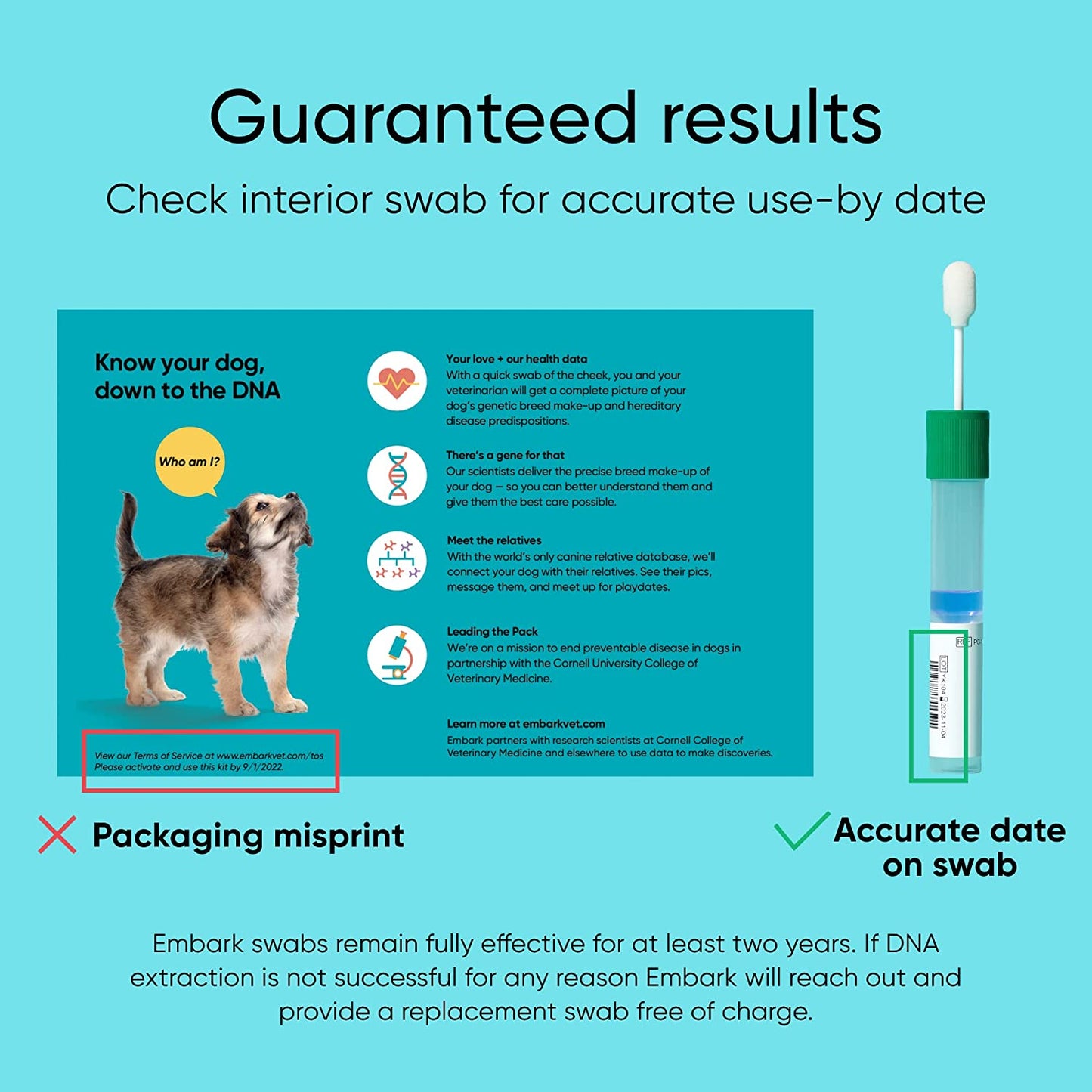 A DNA dog test kit made by Embark.