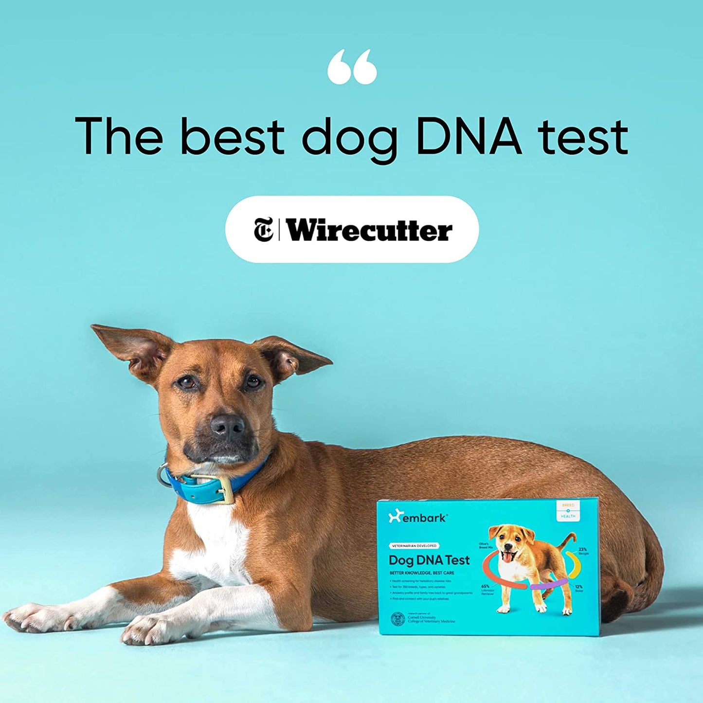 A DNA dog test kit made by Embark.