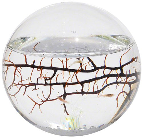 EcoSphere Aquatic Ecosystem - OddGifts.com