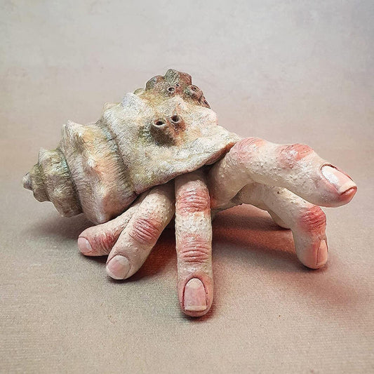 A creepy finger crab sculpture which looks like a hermit crab except human fingers are coming out of the shell instead of a crab.