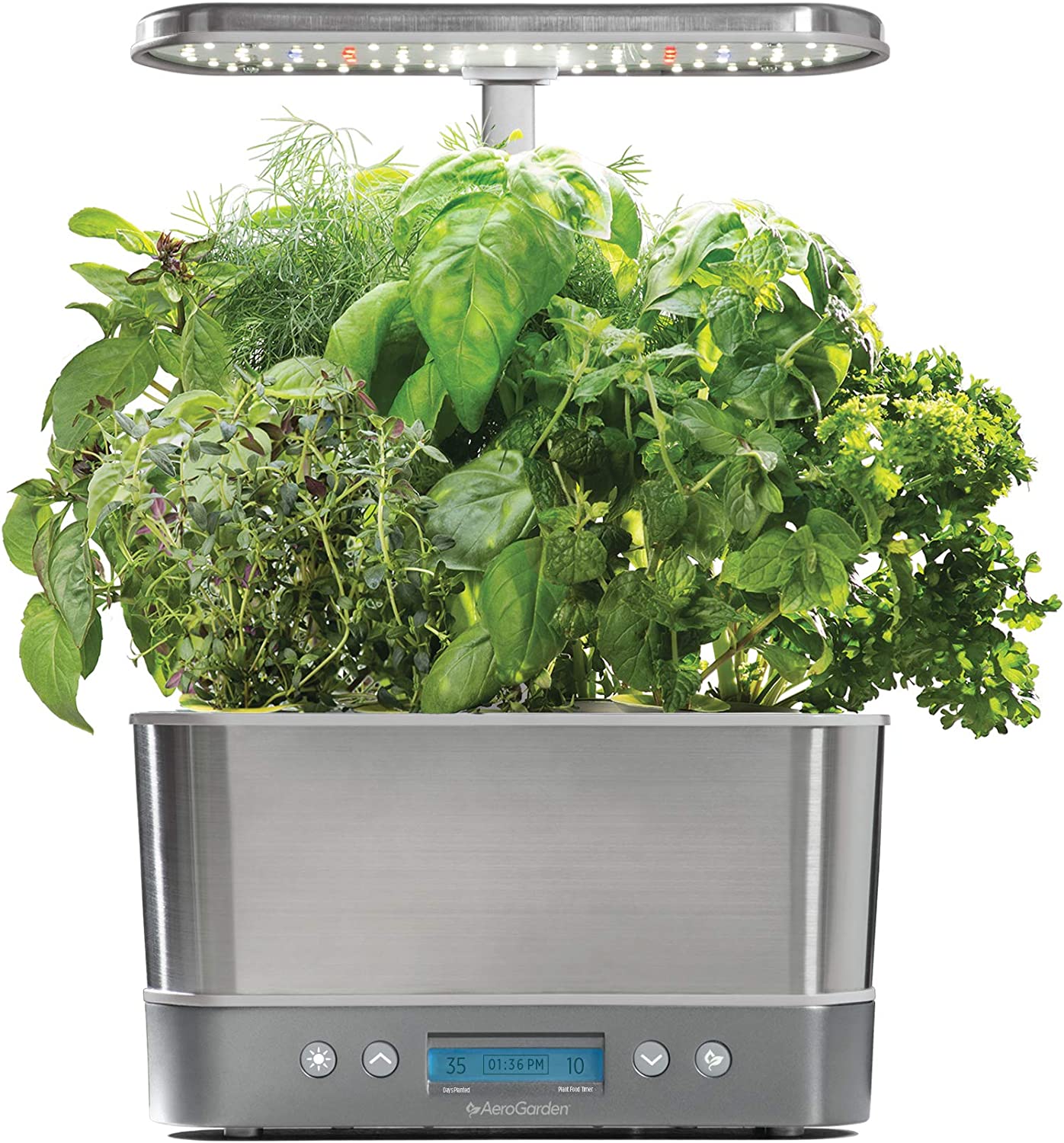 An AeroGarden herb garden bursting with various green herbs.