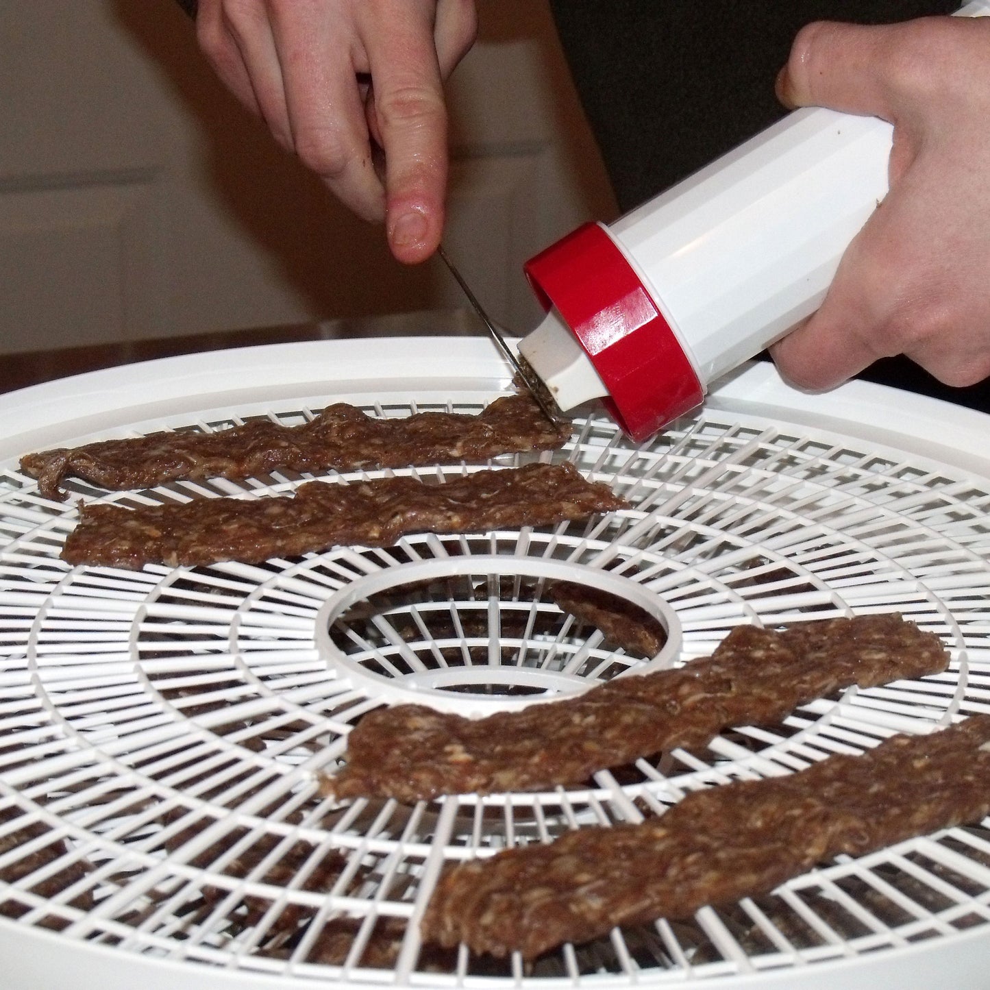 Beef Jerky Dehydrator - OddGifts.com