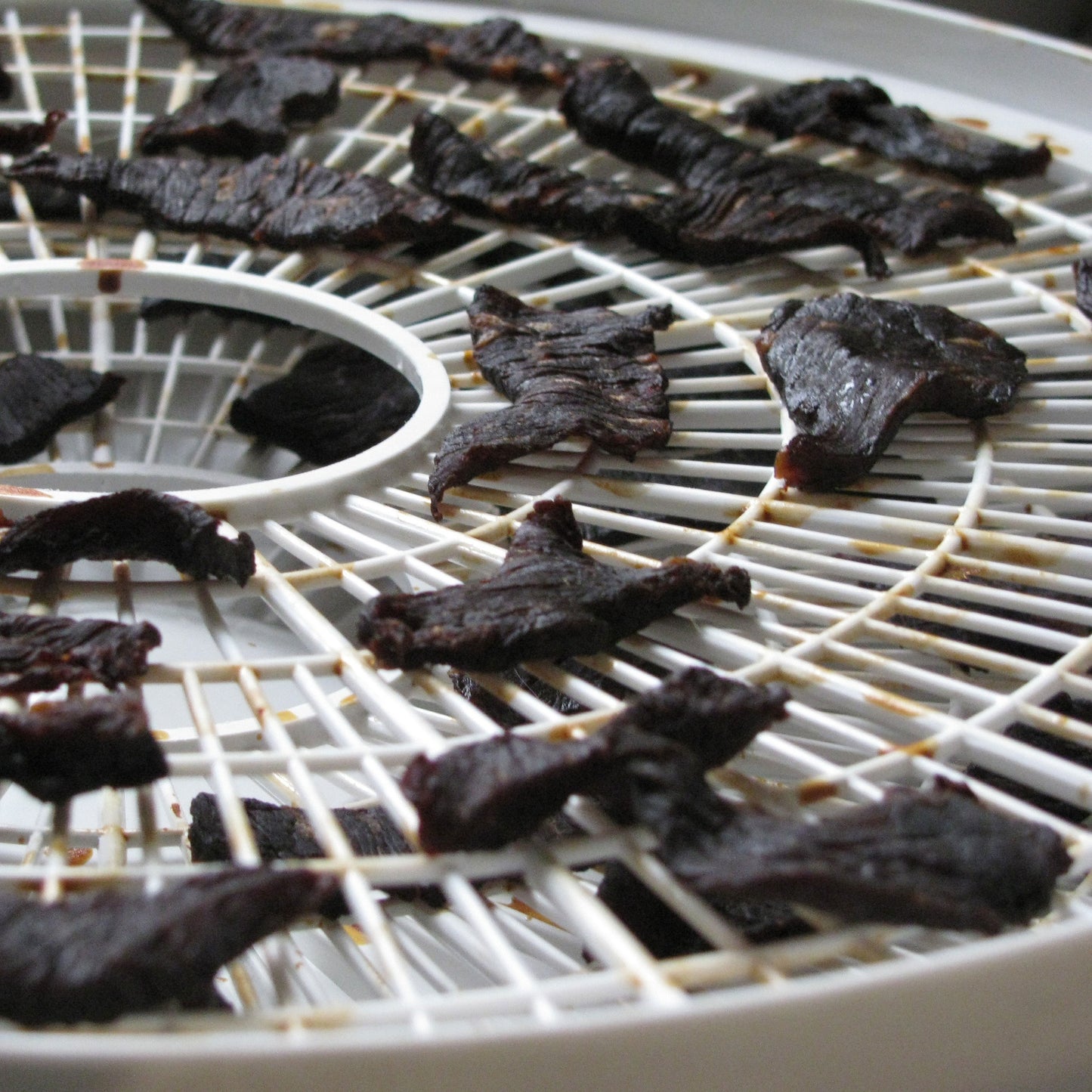 Beef Jerky Dehydrator - OddGifts.com