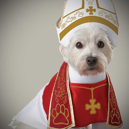 Holy Dog Costume - OddGifts.com