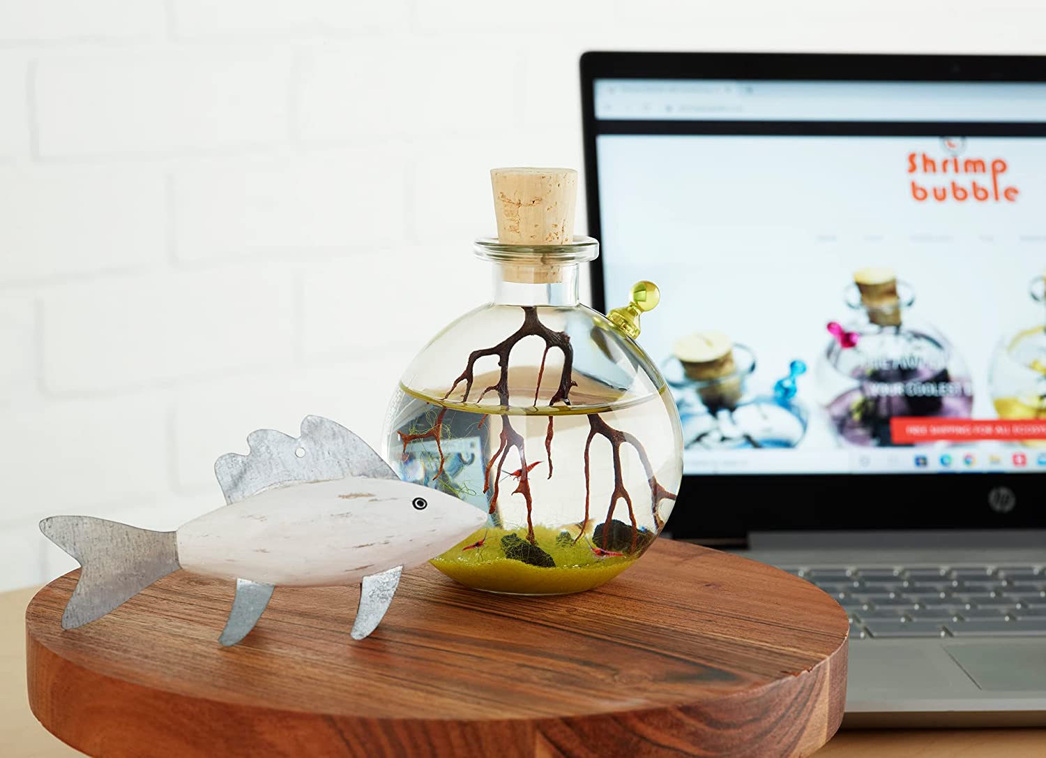 A shrimp bubble self sustaining ecosystem. The shrimp bubble is on a wooden table with a wooden fish ornament next to it.