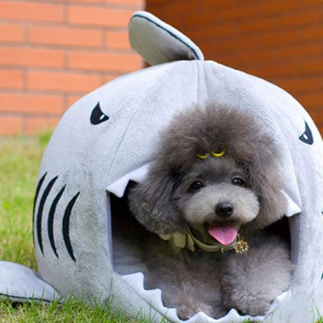 Shark Pet Bed - OddGifts.com