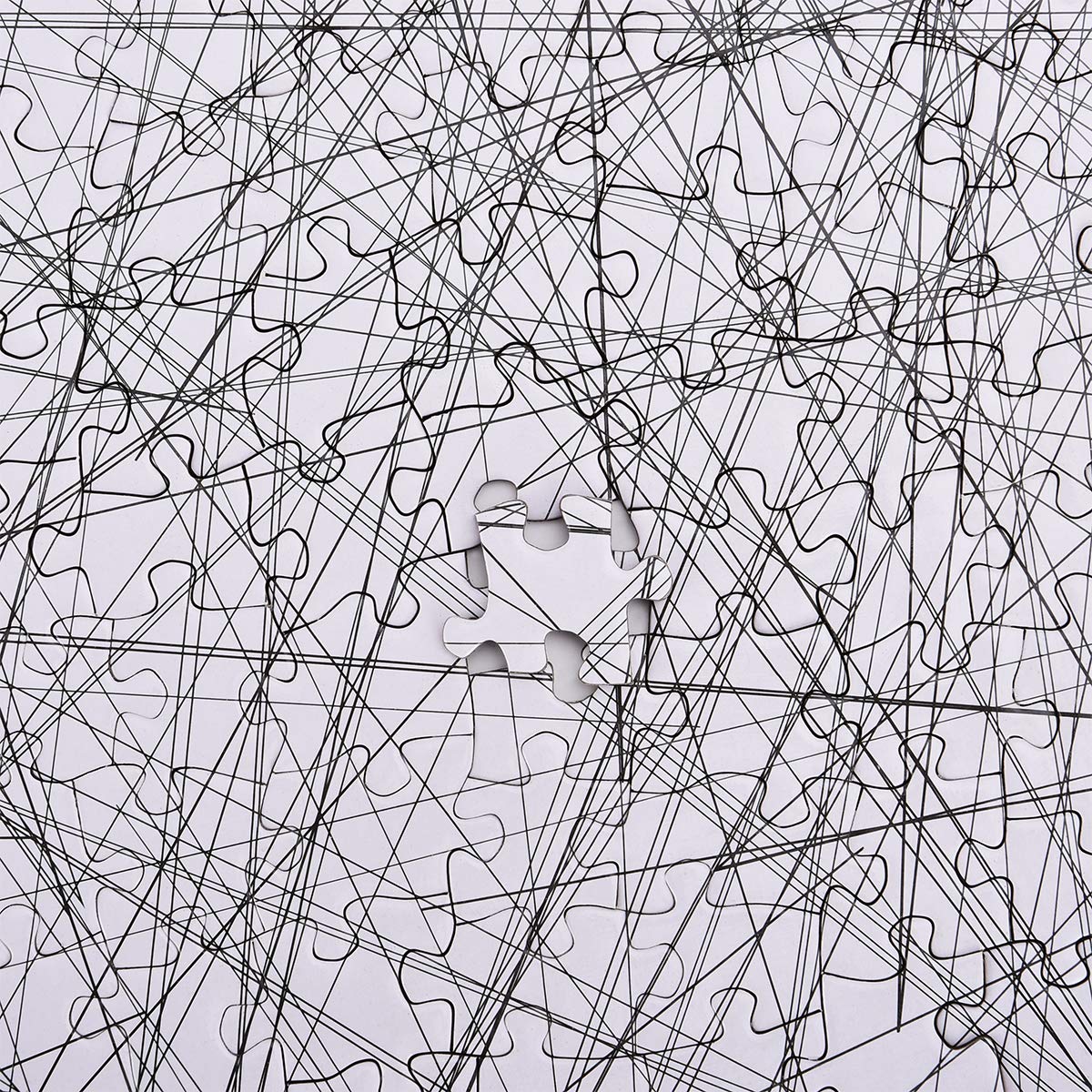 Close up image from a section of the 1000 piece jigsaw puzzle made up of hundreds of straight black lines criss crossed over each other.