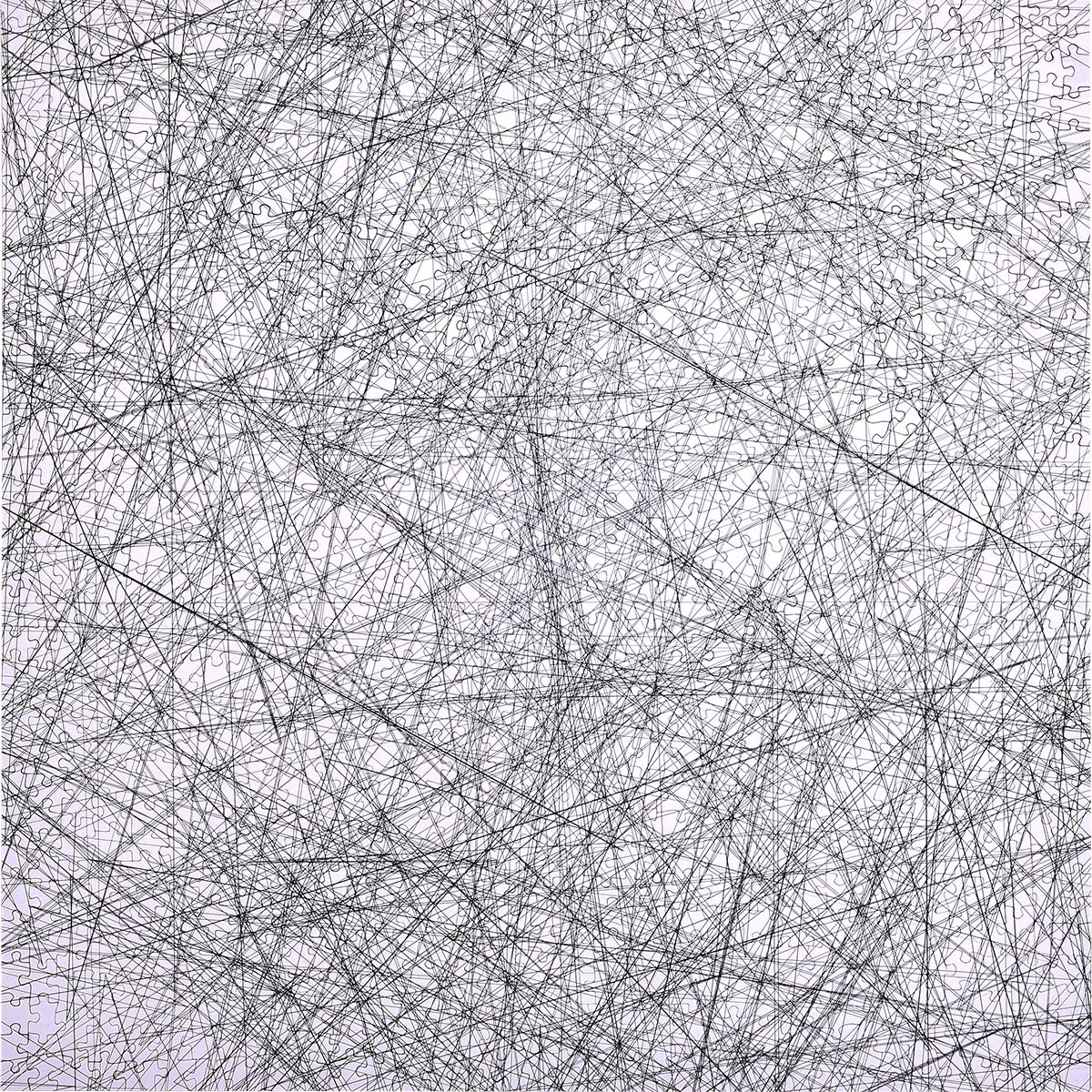 A 1000 piece jigsaw puzzle made up of hundreds of straight black lines criss crossed over each other.