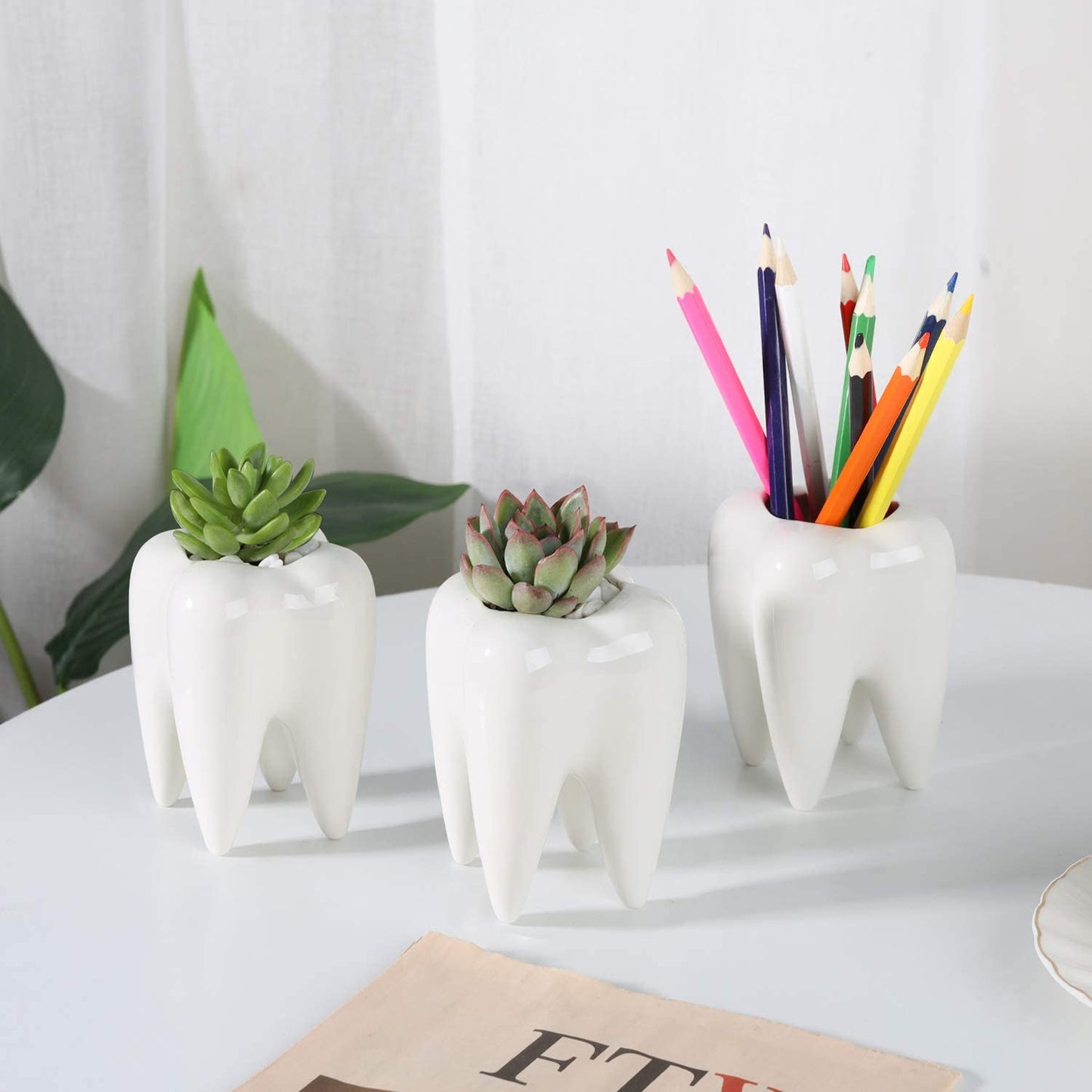 3 white planter pots in the shape of human teeth. Two of the tooth shaped pots have plants in them and the other has pencils in it.