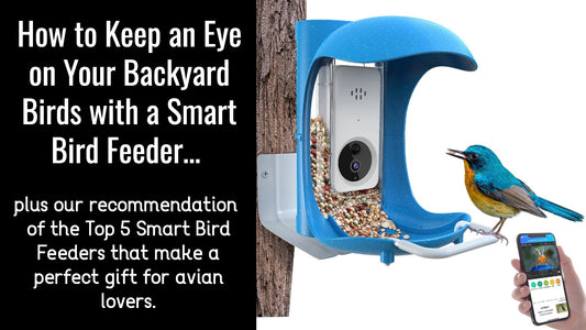 How to Keep an Eye on Your Backyard Birds with Smart Bird Feeders... plus our recommendation of the Top 5 smart bird feeders that make a perfect gift for avian lovers.